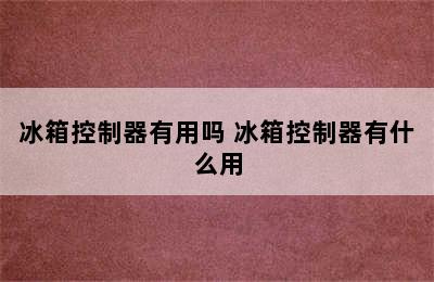 冰箱控制器有用吗 冰箱控制器有什么用